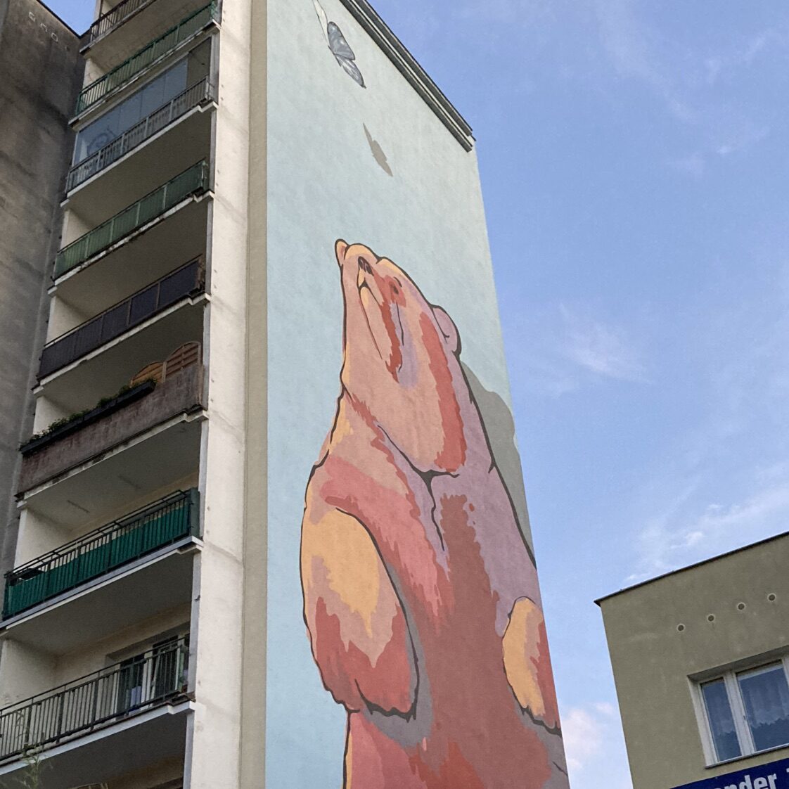 Niedźwiedź i motyl (The Bear and the Butterfly) — Street art by Bakcyl Studio in Warsaw