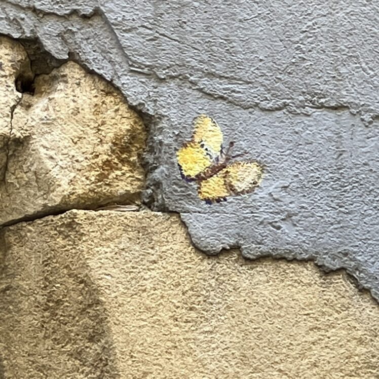 Pots de fleurs peints sur une devanture — Street art à Neuchâtel