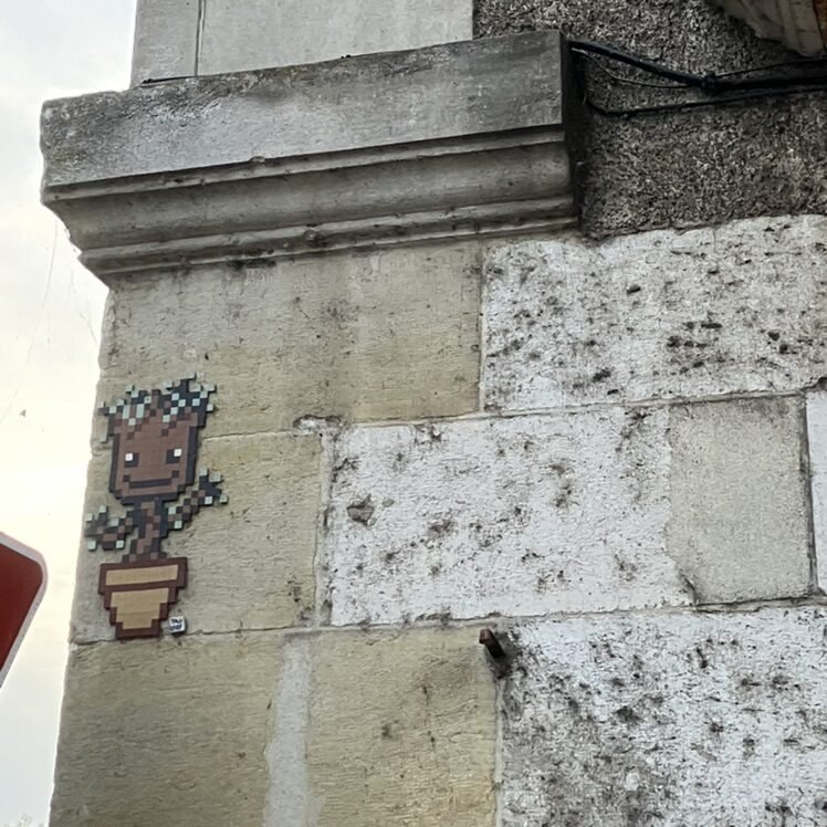 The Lovely Plant — Street art by Tag Lady in Orléans