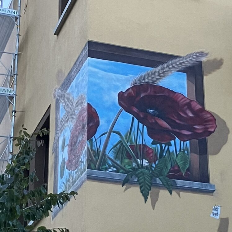 Trompe-l'oeil Poppies on Rue de la Serre — Street art by Carolus in La Chaux-de-Fonds
