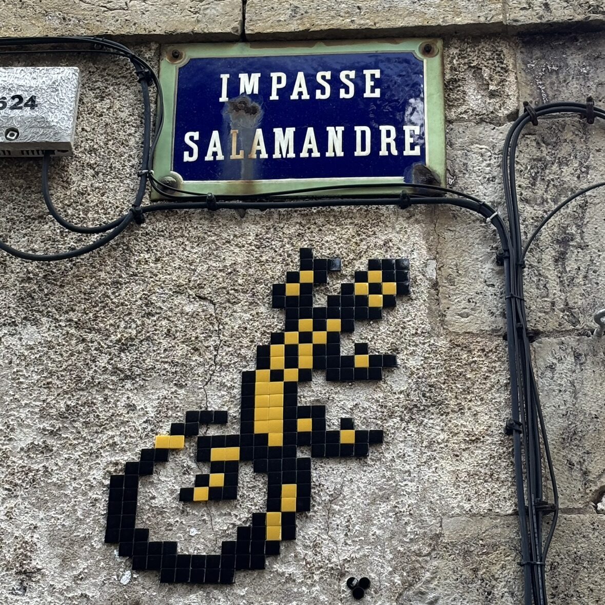 La salamandre de l'impasse Salamandre — Street art de Mifamosa à Orléans