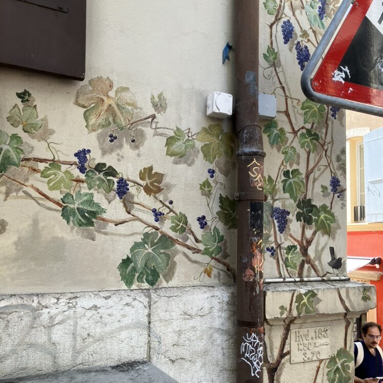 Climbing Vine with Blue Grapes — Street art in Neuchâtel