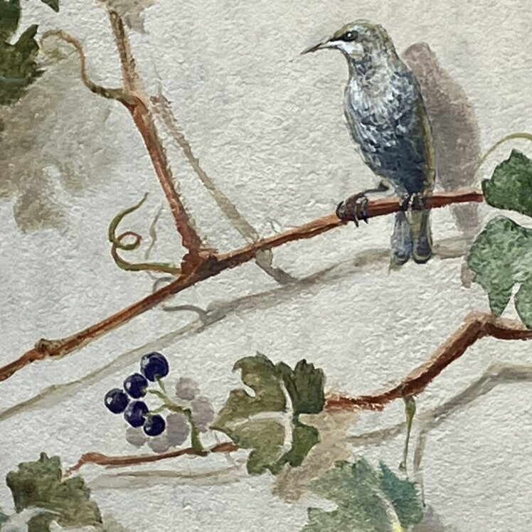 Climbing Vine with Blue Grapes — Street art in Neuchâtel