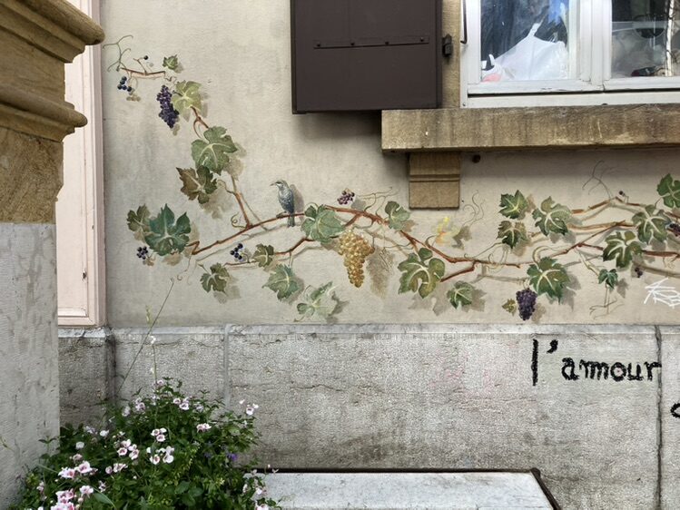 Climbing Vine with Blue Grapes — Street art in Neuchâtel