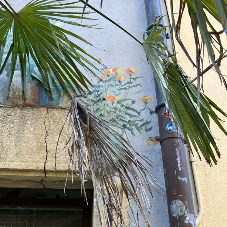 Pots de fleurs peints sur une devanture — Street art à Neuchâtel