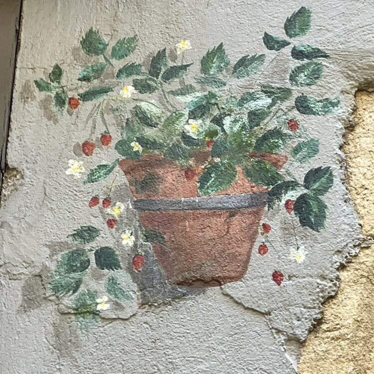 Pots de fleurs peints sur une devanture — Street art à Neuchâtel