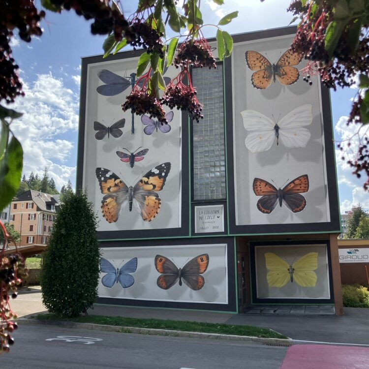 The Le Locle Collection, 2022 — Street art by Mantra in Le Locle