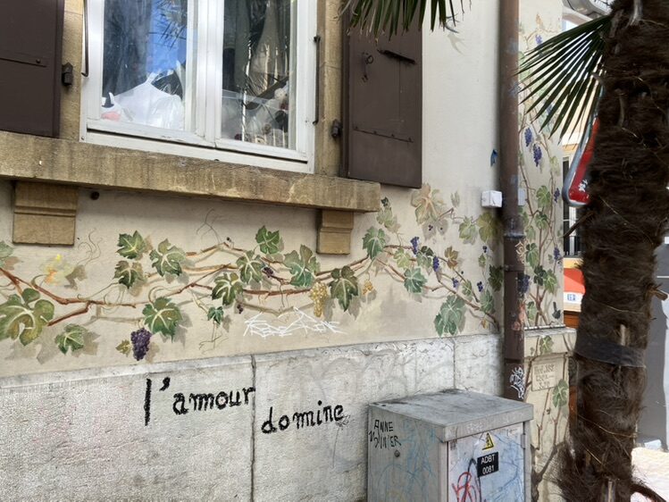 Climbing Vine with Blue Grapes — Street art in Neuchâtel