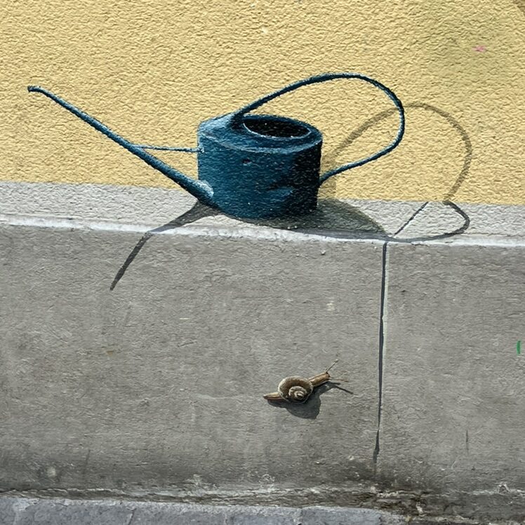 Flower Box beneath a Window — Street art in Neuchâtel