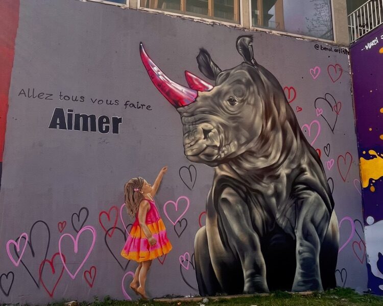 "Allez tous vous faire Aimer", Beral's rhinoceros — Street art by Beral in Paris