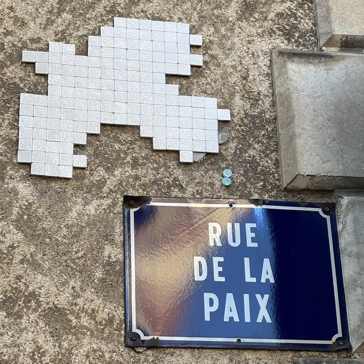 White Dove on Rue de la Paix — Street art by Mifamosa in Orléans