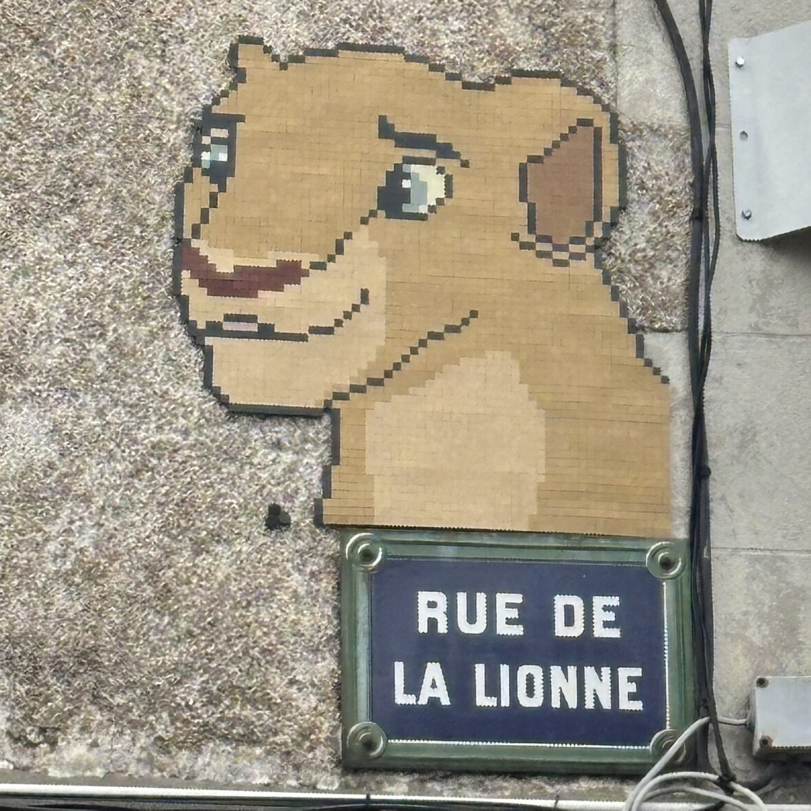 The Lioness of Rue de la Lionne — Street art by Mifamosa in Orléans
