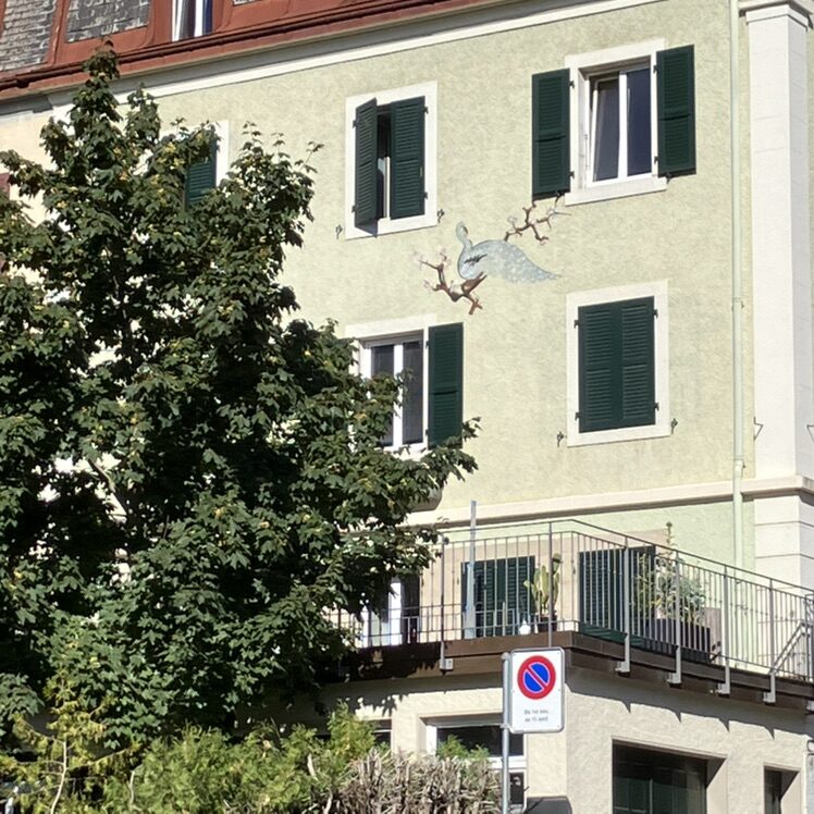Paon sur la branche — Street art à La Chaux-de-Fonds