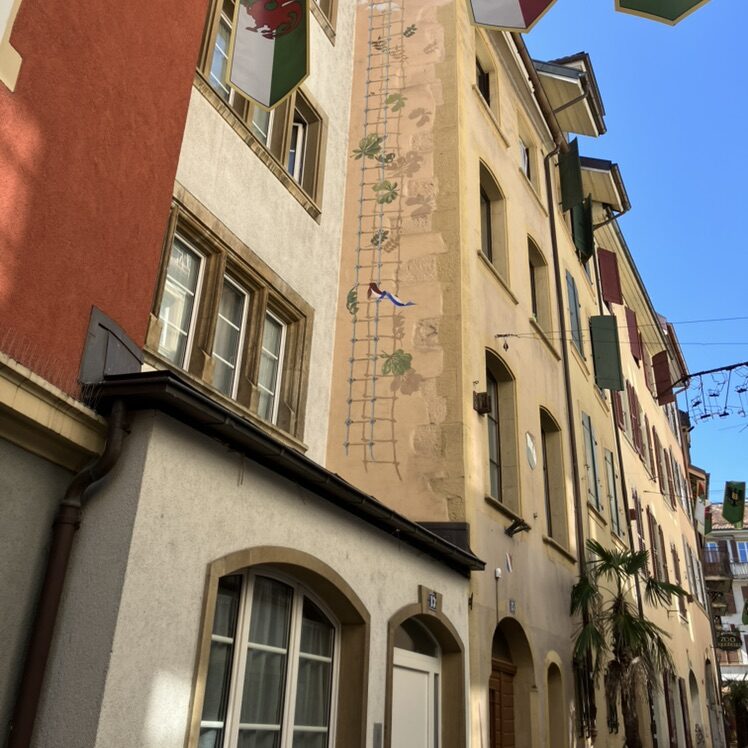 Painted Trellis on the Building Corner — Street art in Neuchâtel