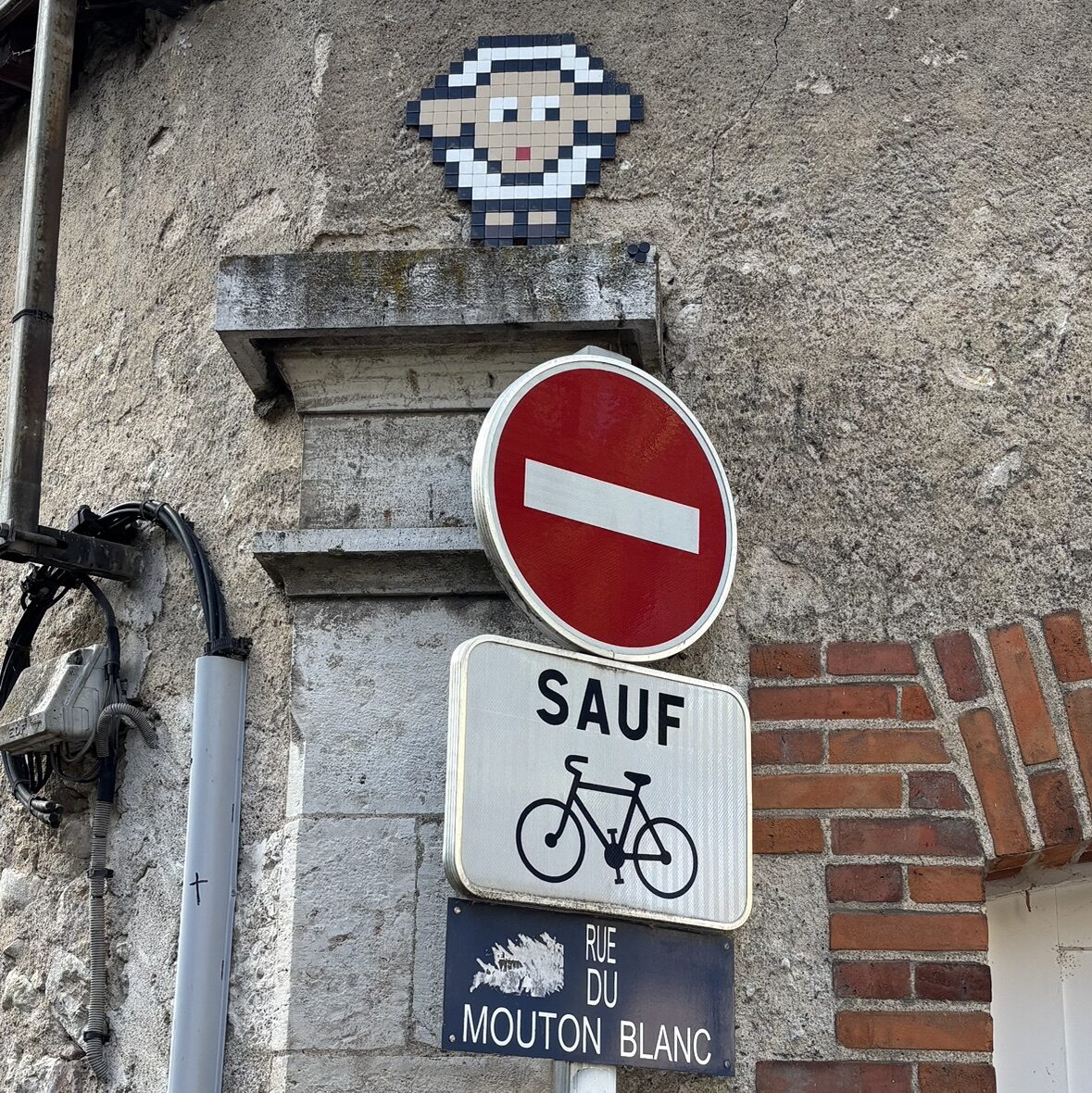 Mouton pixelisé de la rue du Mouton Blanc — Street art de Mifamosa à Blois