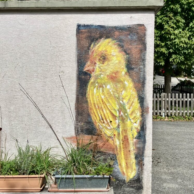 Canary on a Dark Ground — Street art in La Chaux-de-Fonds