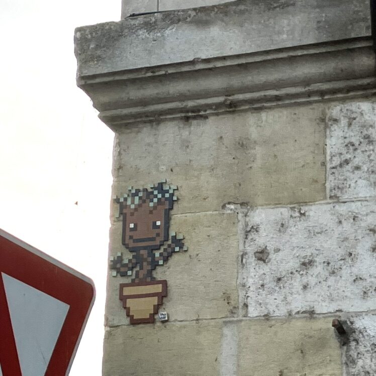 The Lovely Plant — Street art by Tag Lady in Orléans