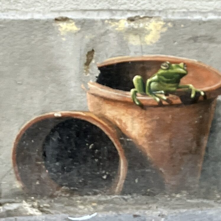 Flower Box beneath a Window — Street art in Neuchâtel