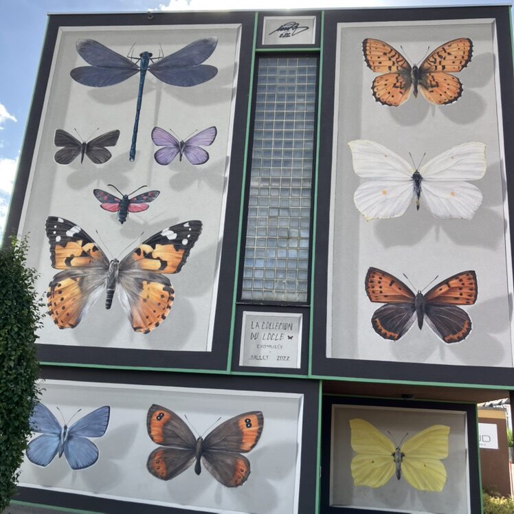 The Le Locle Collection, 2022 — Street art by Mantra in Le Locle