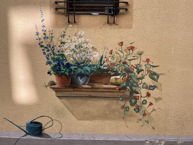 Flower Box beneath a Window — Street art in Neuchâtel