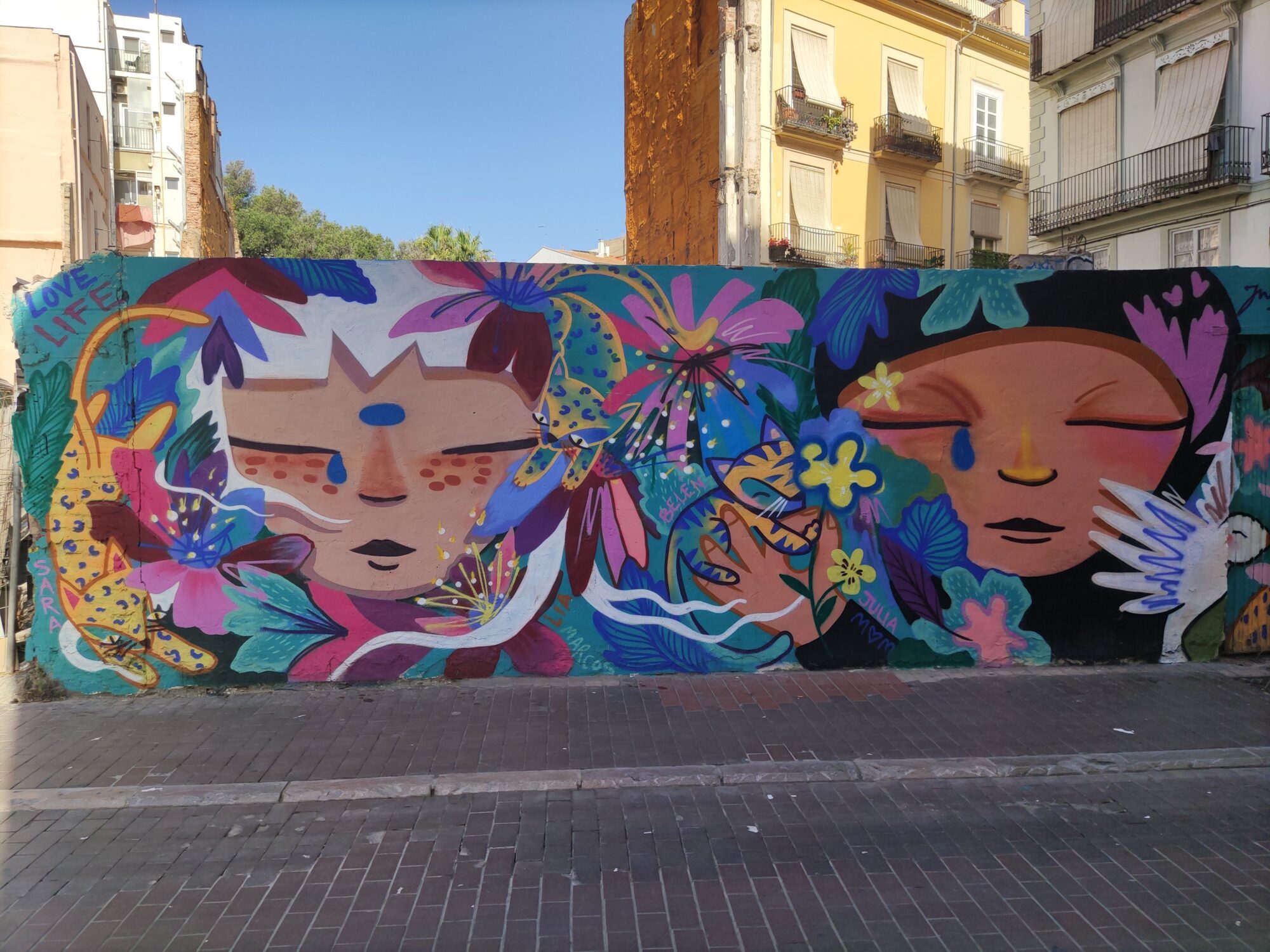 Deux visages fleuris, Love Life — Street art de Julieta xlf à València
