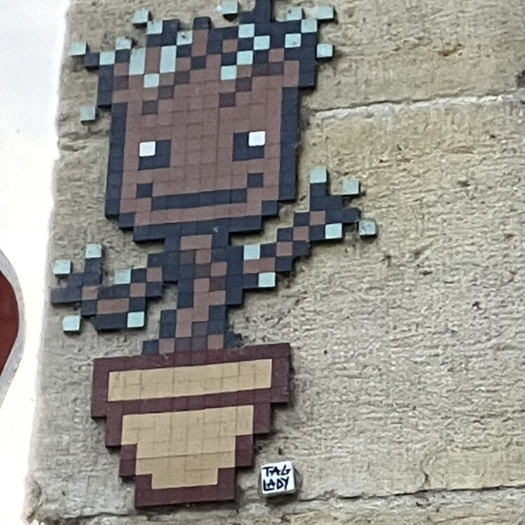 The Lovely Plant — Street art by Tag Lady in Orléans