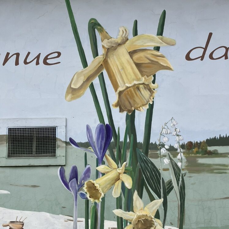 Bienvenue dans les Montagnes neuchâteloises — Street art de Carolus à Le Locle