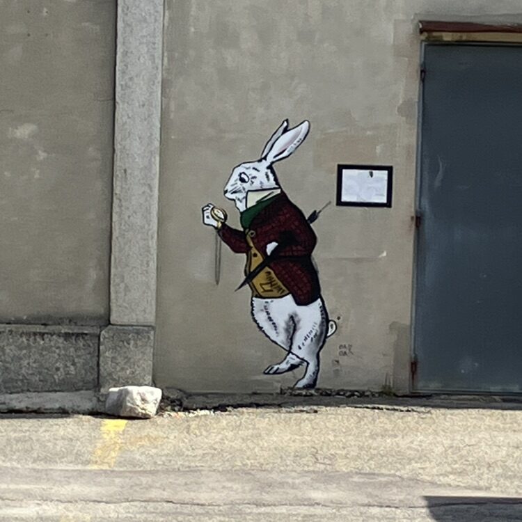 OakOak's White Rabbit — Street art by OakOak in Le Locle
