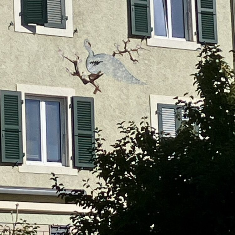 Paon sur la branche — Street art à La Chaux-de-Fonds