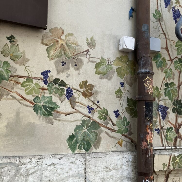 Climbing Vine with Blue Grapes — Street art in Neuchâtel
