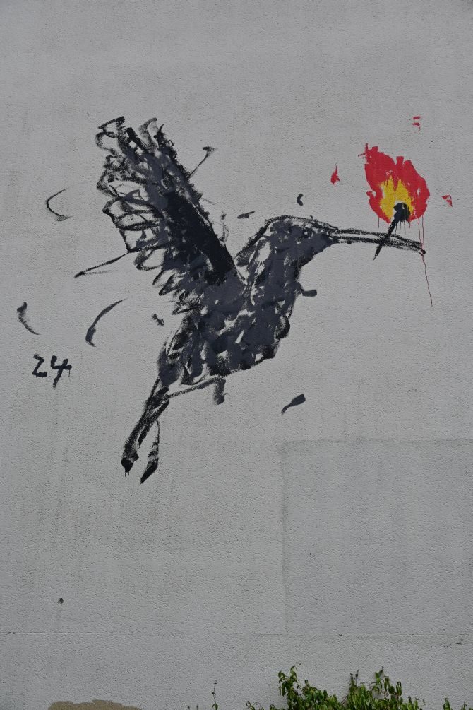 L'oiseau porteur de feu — Street art de War à Rennes