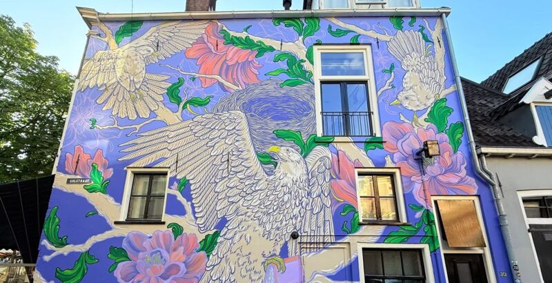 Map of street art in Deventer (Netherlands)
