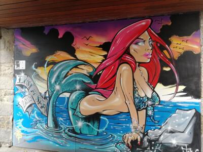 just-do-paint-saint-brieuc-Flex1