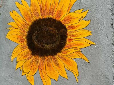 Luminous Sunflower on Grey Wall — Street art in Nantes