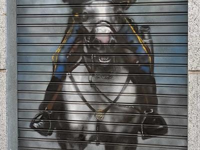 Military Horseman on Shutter — Street art in Madrid