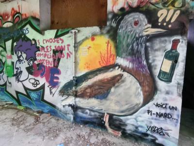 Raven Bird and Bottle — Street art in Grenoble