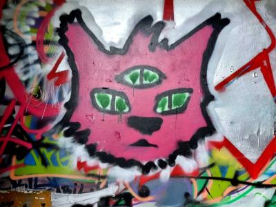 Pink Urban Cat — Street art in Grenoble
