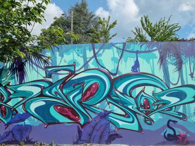 Wildstyle Jungle Turquoise — Street art à Clermont-Ferrand
