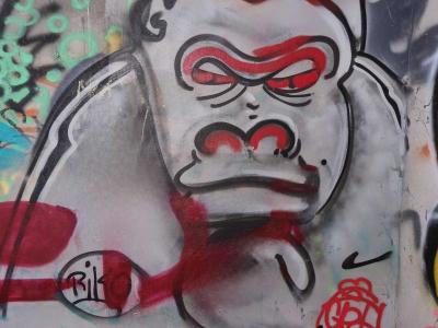 White Gorilla with a Red Band — Street art in Grenoble