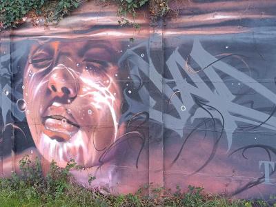 Portrait rose expressif — Street art à Rennes
