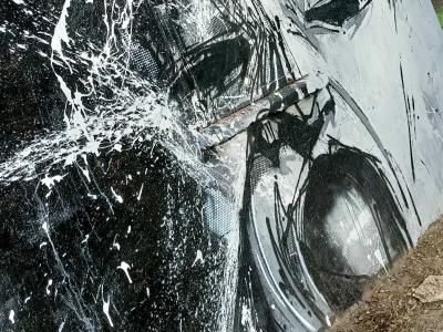The Splashed Black and White Face — Street art by Godelu in Nantes