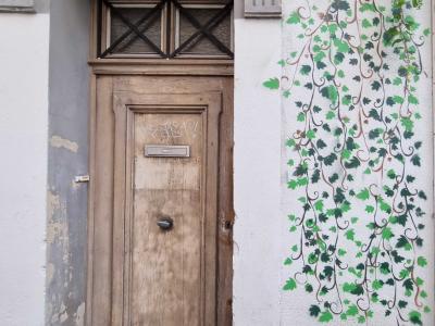Ivy Climbing the Facade — Street art in Clermont-Ferrand
