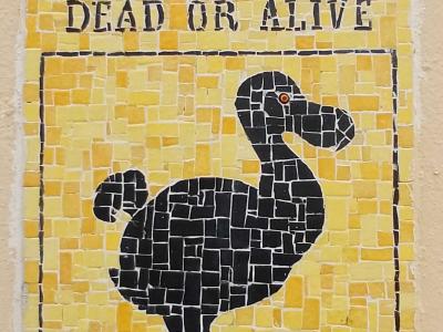 Wanted dead or alive : Dodo — Street art à Paris