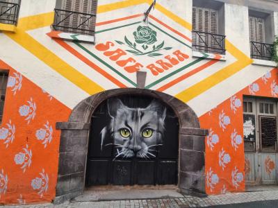 Orange Cat — Street art in Clermont-Ferrand