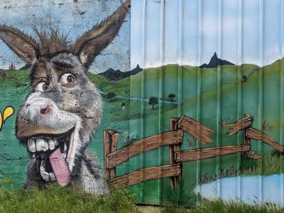 Smiling donkey — Street art in Soyons