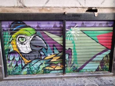 Colorful Macaw Parrot on Shutter — Street art in Clermont-Ferrand