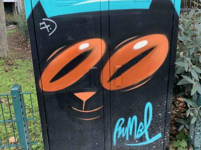 The Cat's Head on the Cabinet — Street art in Strasbourg