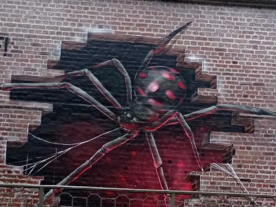 Giant Spider Trompe-l'oeil — Street art by Scaf in Amiens