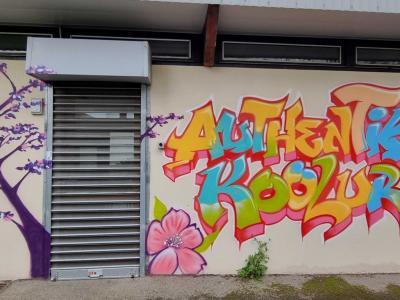 Authentik Koolurs — Street art in Grenoble