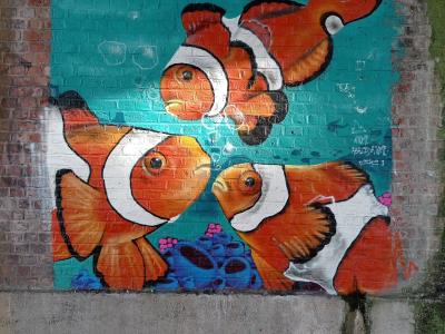Poissons-clowns tropicaux — Street art à Lille